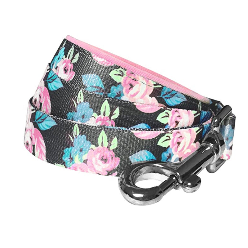 Pet leash and collar