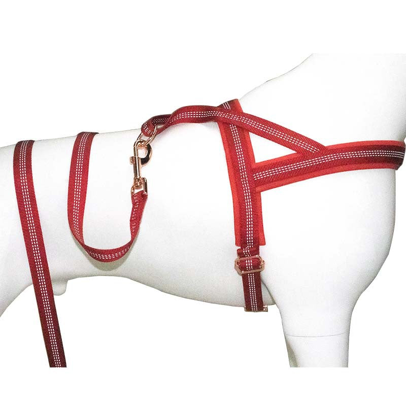 Pet collar, leash, storage bag, chest and back set PE108-PE112